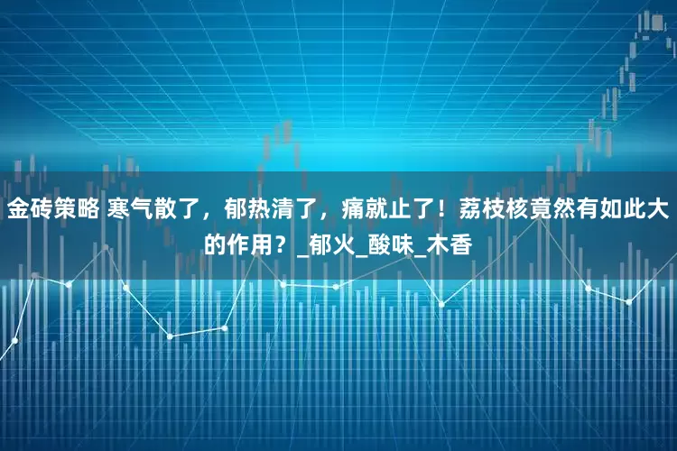 金砖策略 寒气散了，郁热清了，痛就止了！荔枝核竟然有如此大的作用？_郁火_酸味_木香