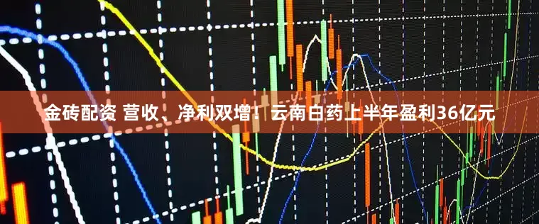 金砖配资 营收、净利双增！云南白药上半年盈利36亿元