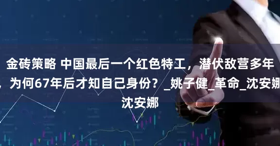 金砖策略 中国最后一个红色特工，潜伏敌营多年，为何67年后才知自己身份？_姚子健_革命_沈安娜